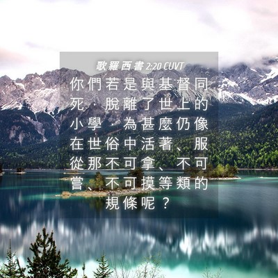 Picture 04 - 歌 羅 西 書 2:20 CUVT - 你 們 若 是 與 基 督 同 死 ， 脫 離 - Bible Verse Picture
