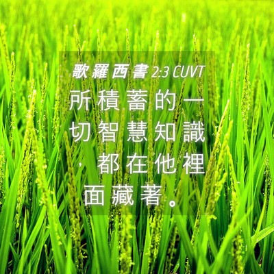 Picture 04 - 歌 羅 西 書 2:3 CUVT - 所 積 蓄 的 一 切 智 慧 知 識 ， 都 - Bible Verse Picture