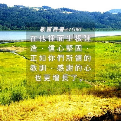 Picture 04 - 歌 羅 西 書 2:7 CUVT - 在 他 裡 面 生 根 建 造 ， 信 心 堅 - Bible Verse Picture