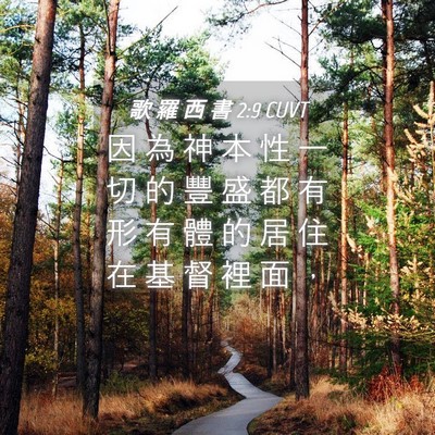 Picture 04 - 歌 羅 西 書 2:9 CUVT - 因 為 神 本 性 一 切 的 豐 盛 都 有 - Bible Verse Picture