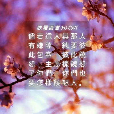 Picture 04 - 歌 羅 西 書 3:13 CUVT - 倘 若 這 人 與 那 人 有 嫌 隙 ， 總 - Bible Verse Picture