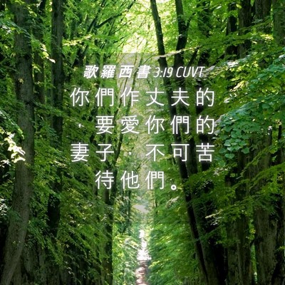 Picture 04 - 歌 羅 西 書 3:19 CUVT - 你 們 作 丈 夫 的 ， 要 愛 你 們 的 - Bible Verse Picture