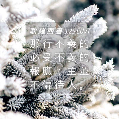 Picture 04 - 歌 羅 西 書 3:25 CUVT - 那 行 不 義 的 必 受 不 義 的 報 應 - Bible Verse Picture