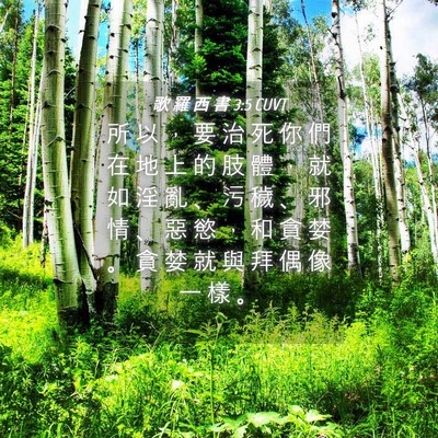 Picture 04 - 歌 羅 西 書 3:5 CUVT - 所 以 ， 要 治 死 你 們 在 地 上 的 - Bible Verse Picture