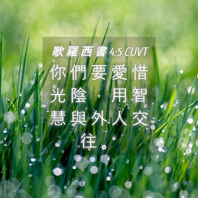 Picture 04 - 歌 羅 西 書 4:5 CUVT - 你 們 要 愛 惜 光 陰 ， 用 智 慧 與 - Bible Verse Picture