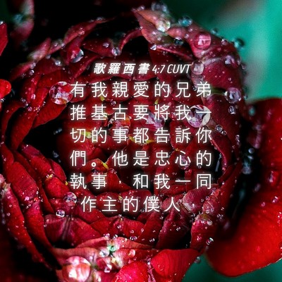 Picture 04 - 歌 羅 西 書 4:7 CUVT - 有 我 親 愛 的 兄 弟 推 基 古 要 將 - Bible Verse Picture