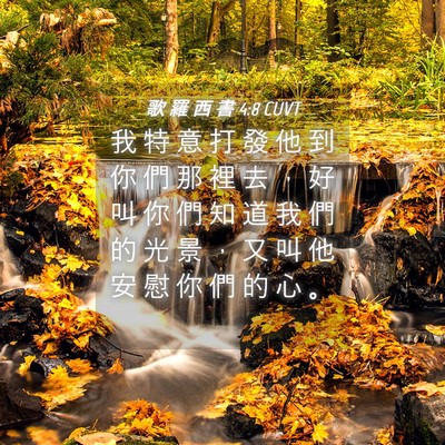 Picture 04 - 歌 羅 西 書 4:8 CUVT - 我 特 意 打 發 他 到 你 們 那 裡 去 - Bible Verse Picture