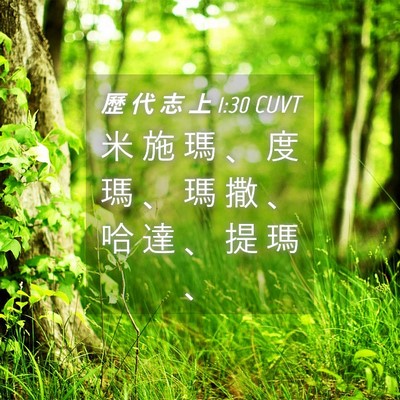 Picture 04 - 歷 代 志 上 1:30 CUVT - 米 施 瑪 、 度 瑪 、 瑪 撒 、 哈 達 - Bible Verse Picture
