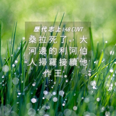 Picture 04 - 歷 代 志 上 1:48 CUVT - 桑 拉 死 了 ， 大 河 邊 的 利 河 伯 - Bible Verse Picture