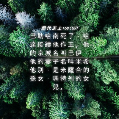 Picture 04 - 歷 代 志 上 1:50 CUVT - 巴 勒 哈 南 死 了 ， 哈 達 接 續 他 - Bible Verse Picture