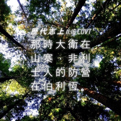 Picture 04 - 歷 代 志 上 11:16 CUVT - 那 時 大 衛 在 山 寨 ， 非 利 士 人 - Bible Verse Picture