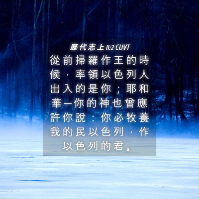 Picture 04 - 歷 代 志 上 11:2 CUVT - 從 前 掃 羅 作 王 的 時 候 ， 率 領 - Bible Verse Picture