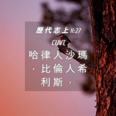 Picture 04 - 歷 代 志 上 11:27 CUVT - 哈 律 人 沙 瑪 ， 比 倫 人 希 利 斯 - Bible Verse Picture