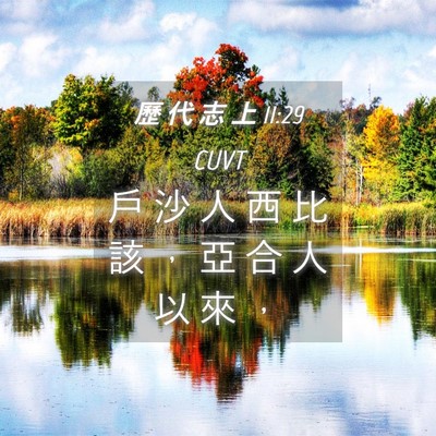 Picture 04 - 歷 代 志 上 11:29 CUVT - 戶 沙 人 西 比 該 ， 亞 合 人 以 來 - Bible Verse Picture