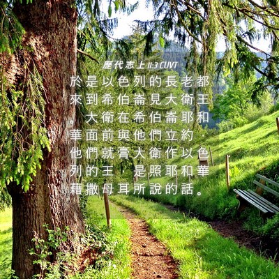 Picture 04 - 歷 代 志 上 11:3 CUVT - 於 是 以 色 列 的 長 老 都 來 到 希 - Bible Verse Picture
