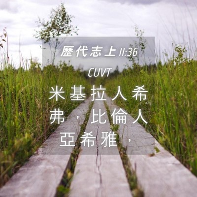 Picture 04 - 歷 代 志 上 11:36 CUVT - 米 基 拉 人 希 弗 ， 比 倫 人 亞 希 - Bible Verse Picture