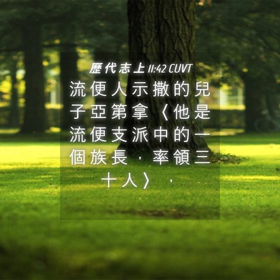 Picture 04 - 歷 代 志 上 11:42 CUVT - 流 便 人 示 撒 的 兒 子 亞 第 拿 〈 - Bible Verse Picture