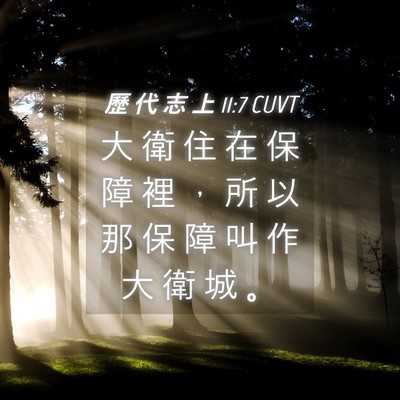 Picture 04 - 歷 代 志 上 11:7 CUVT - 大 衛 住 在 保 障 裡 ， 所 以 那 保 - Bible Verse Picture