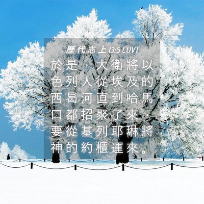 Picture 04 - 歷 代 志 上 13:5 CUVT - 於 是 ， 大 衛 將 以 色 列 人 從 埃 - Bible Verse Picture