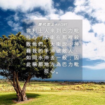 Picture 04 - 歷 代 志 上 14:11 CUVT - 非 利 士 人 來 到 巴 力 毗 拉 心 ， - Bible Verse Picture