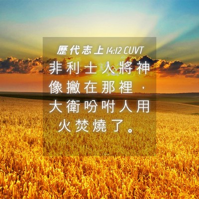 Picture 04 - 歷 代 志 上 14:12 CUVT - 非 利 士 人 將 神 像 撇 在 那 裡 ， - Bible Verse Picture