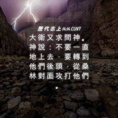 Picture 04 - 歷 代 志 上 14:14 CUVT - 大 衛 又 求 問 神 。 神 說 ： 不 要 - Bible Verse Picture