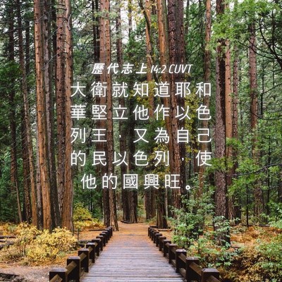 Picture 04 - 歷 代 志 上 14:2 CUVT - 大 衛 就 知 道 耶 和 華 堅 立 他 作 - Bible Verse Picture
