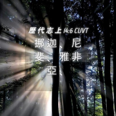 Picture 04 - 歷 代 志 上 14:6 CUVT - 挪 迦 、 尼 斐 、 雅 非 亞 - Bible Verse Picture