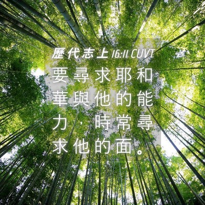 Picture 04 - 歷 代 志 上 16:11 CUVT - 要 尋 求 耶 和 華 與 他 的 能 力 ， - Bible Verse Picture