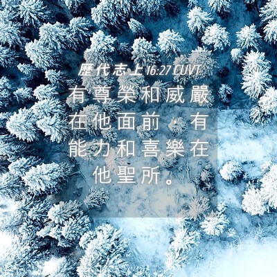 Picture 04 - 歷 代 志 上 16:27 CUVT - 有 尊 榮 和 威 嚴 在 他 面 前 ， 有 - Bible Verse Picture