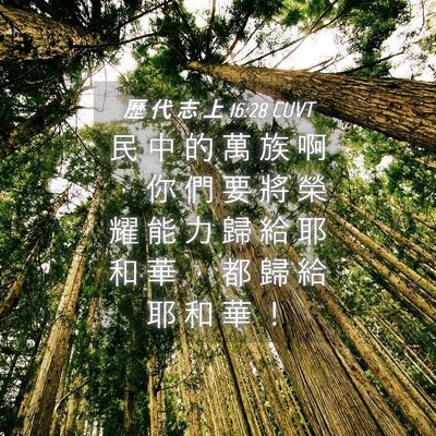 Picture 04 - 歷 代 志 上 16:28 CUVT - 民 中 的 萬 族 啊 ， 你 們 要 將 榮 - Bible Verse Picture
