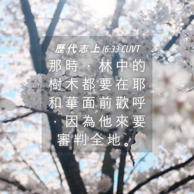 Picture 04 - 歷 代 志 上 16:33 CUVT - 那 時 ， 林 中 的 樹 木 都 要 在 耶 - Bible Verse Picture