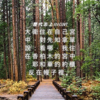 Picture 04 - 歷 代 志 上 17:1 CUVT - 大 衛 住 在 自 己 宮 中 ， 對 先 知 - Bible Verse Picture