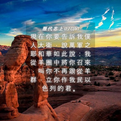 Picture 04 - 歷 代 志 上 17:7 CUVT - 現 在 你 要 告 訴 我 僕 人 大 衛 ， - Bible Verse Picture