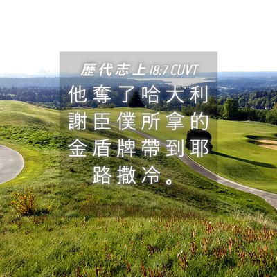 Picture 04 - 歷 代 志 上 18:7 CUVT - 他 奪 了 哈 大 利 謝 臣 僕 所 拿 的 - Bible Verse Picture