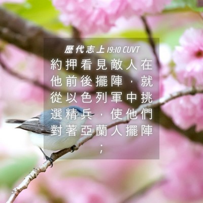 Picture 04 - 歷 代 志 上 19:10 CUVT - 約 押 看 見 敵 人 在 他 前 後 擺 陣 - Bible Verse Picture