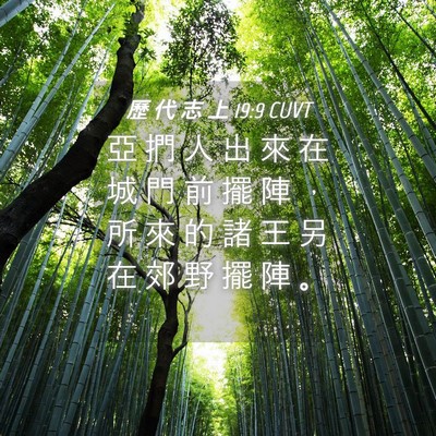Picture 04 - 歷 代 志 上 19:9 CUVT - 亞 捫 人 出 來 在 城 門 前 擺 陣 ， - Bible Verse Picture