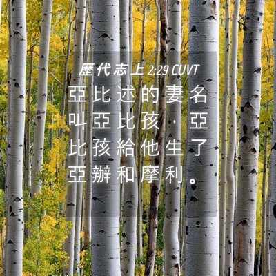 Picture 04 - 歷 代 志 上 2:29 CUVT - 亞 比 述 的 妻 名 叫 亞 比 孩 ， 亞 - Bible Verse Picture