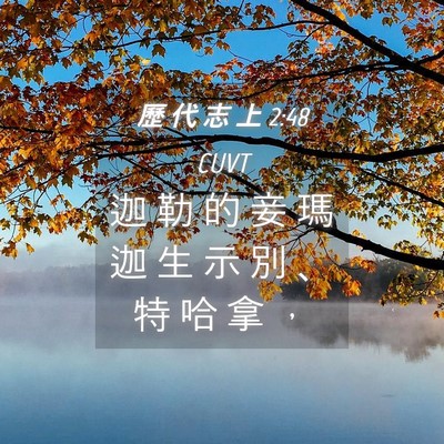 Picture 04 - 歷 代 志 上 2:48 CUVT - 迦 勒 的 妾 瑪 迦 生 示 別 、 特 哈 - Bible Verse Picture