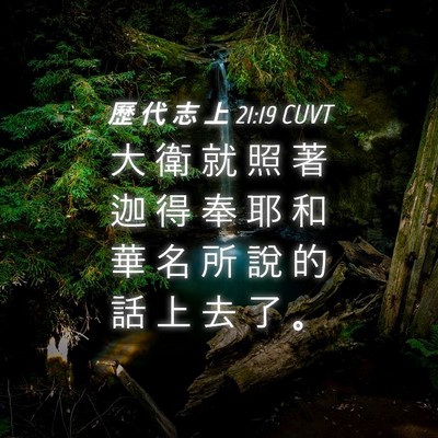 Picture 04 - 歷 代 志 上 21:19 CUVT - 大 衛 就 照 著 迦 得 奉 耶 和 華 名 - Bible Verse Picture