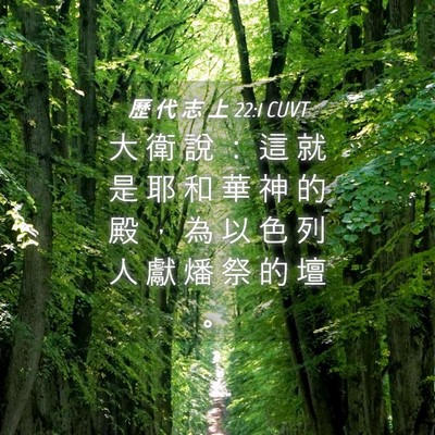 Picture 04 - 歷 代 志 上 22:1 CUVT - 大 衛 說 ： 這 就 是 耶 和 華 神 的 - Bible Verse Picture