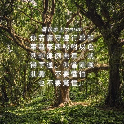 Picture 04 - 歷 代 志 上 22:13 CUVT - 你 若 謹 守 遵 行 耶 和 華 藉 摩 西 - Bible Verse Picture