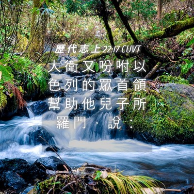 Picture 04 - 歷 代 志 上 22:17 CUVT - 大 衛 又 吩 咐 以 色 列 的 眾 首 領 - Bible Verse Picture