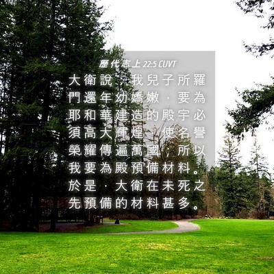 Picture 04 - 歷 代 志 上 22:5 CUVT - 大 衛 說 ： 我 兒 子 所 羅 門 還 年 - Bible Verse Picture