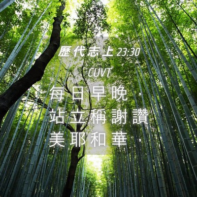 Picture 04 - 歷 代 志 上 23:30 CUVT - 每 日 早 晚 ， 站 立 稱 謝 讚 美 耶 - Bible Verse Picture