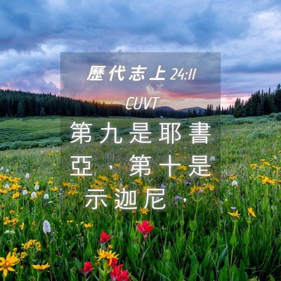 Picture 04 - 歷 代 志 上 24:11 CUVT - 第 九 是 耶 書 亞 ， 第 十 是 示 迦 - Bible Verse Picture