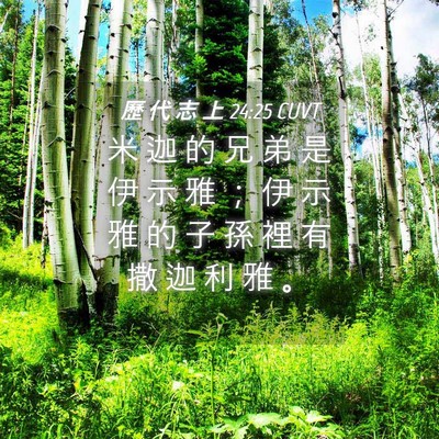 Picture 04 - 歷 代 志 上 24:25 CUVT - 米 迦 的 兄 弟 是 伊 示 雅 ； 伊 示 - Bible Verse Picture