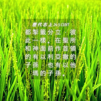 Picture 04 - 歷 代 志 上 24:5 CUVT - 都 掣 籤 分 立 ， 彼 此 一 樣 。 在 - Bible Verse Picture