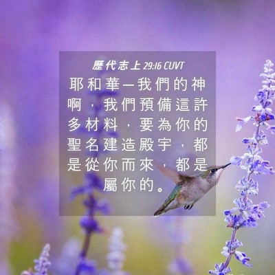 Picture 04 - 歷 代 志 上 29:16 CUVT - 耶 和 華 ─ 我 們 的 神 啊 ， 我 們 - Bible Verse Picture