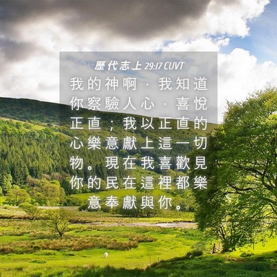 Picture 04 - 歷 代 志 上 29:17 CUVT - 我 的 神 啊 ， 我 知 道 你 察 驗 人 - Bible Verse Picture